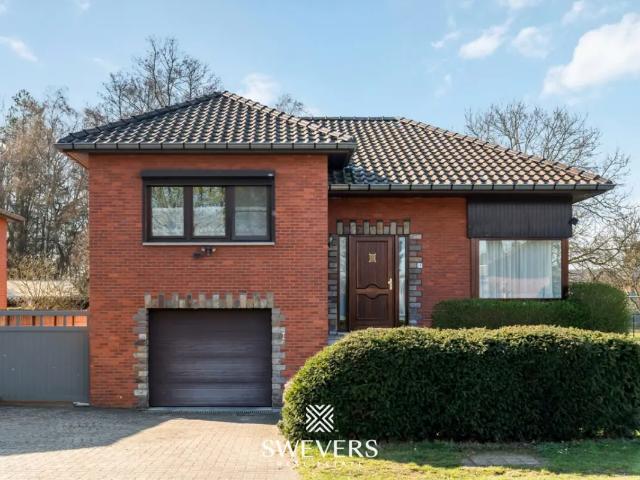 à vendre Maison Heusden Zolder Halbeekstraat