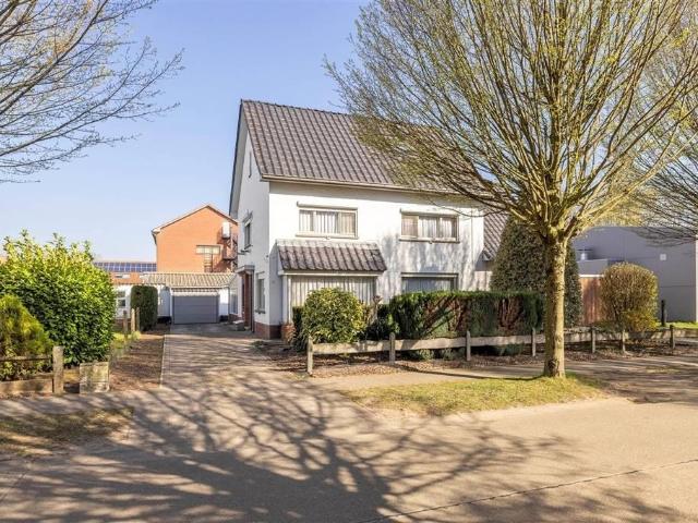 à vendre Maison Herentals Larikslaan