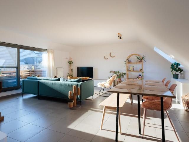 à vendre Maison Herzele Hoogstraat