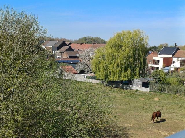 à vendre Maison Jumet rue Derbèque