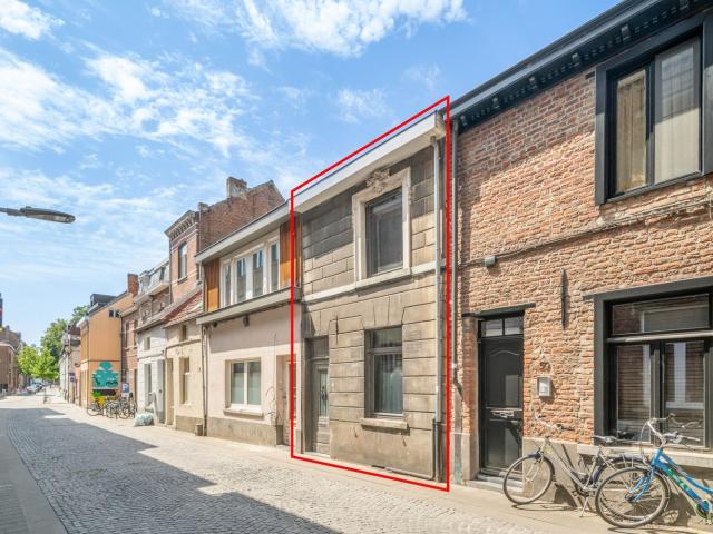 à vendre Maison Louvain Vlamingenstraat