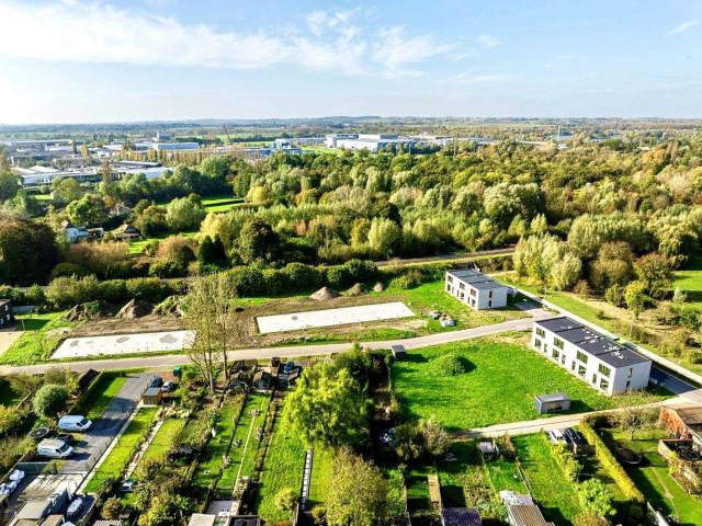 à vendre Maison Leupegem Tonkinstraat