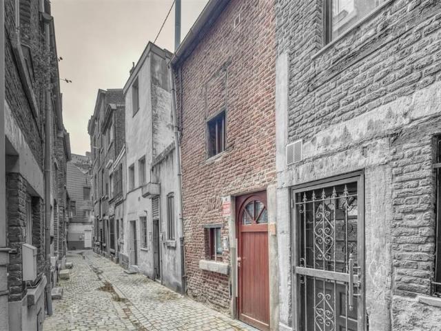 à vendre Maison Liège Rue Porte aux Oies