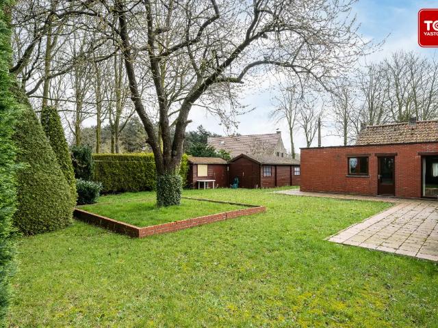 à vendre Maison Moerbeke Waas Zandberg