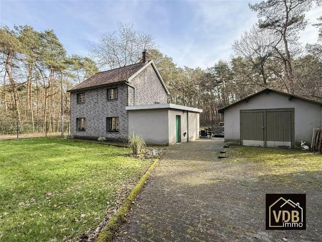 à vendre Maison Maasmechelen In de Loten