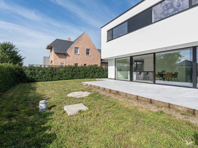 à vendre Maison Maldegem Kleine Bogaarde straat