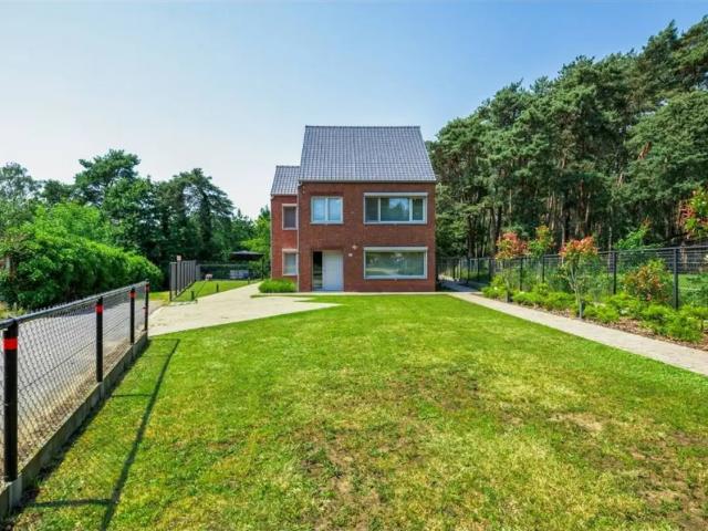 à vendre Maison Meerhout Kinkhoornstraat