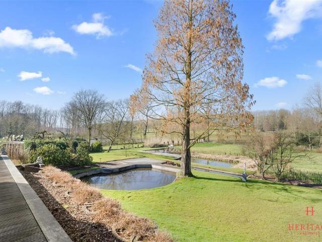 à vendre Maison Nokere Spichtestraat