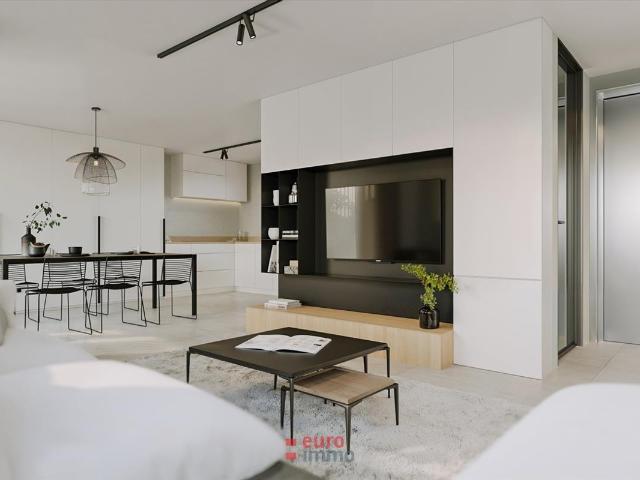 à vendre Maison Nieuwpoort Oude Veurnevaart