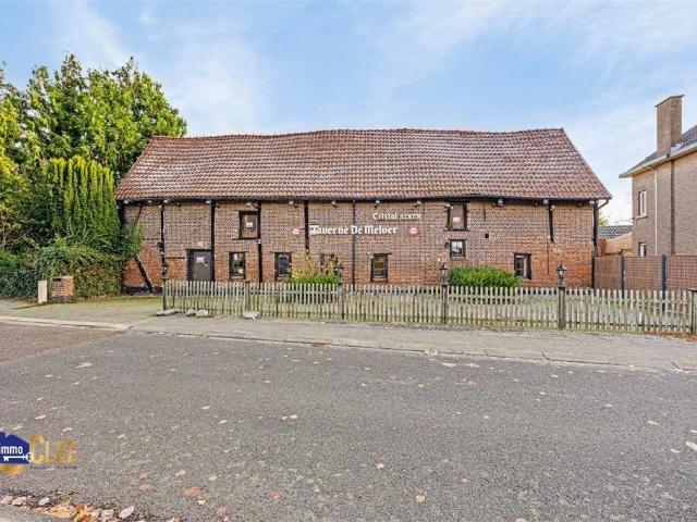 à vendre Maison Saint Trond Melveren Centrum