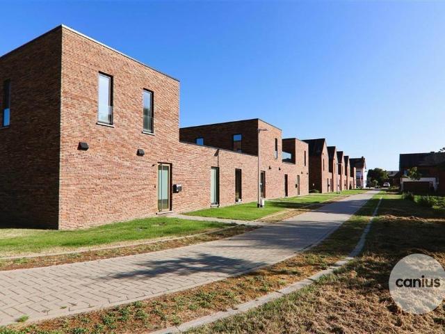 à vendre Maison Saint Trond Rummenweg