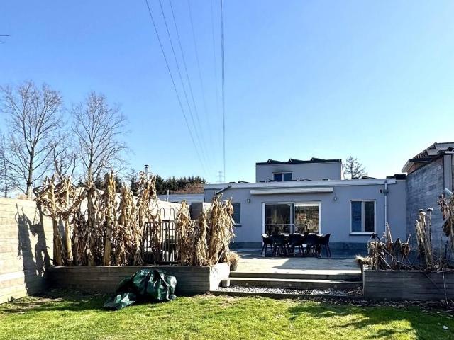 à vendre Maison Steenokkerzeel Steenbeekweg