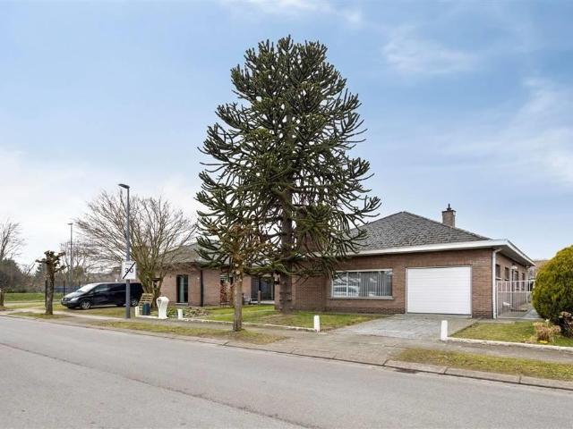 à vendre Maison Willebroek Vlietlaan