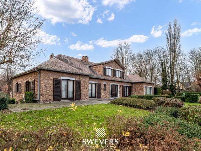 à vendre Maison Tongres Viséweg