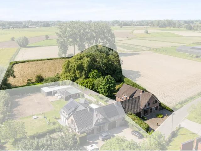 à vendre Maison Temse Bergstraat