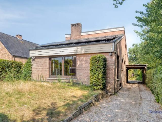 à vendre Maison Tessenderlo Hooiman