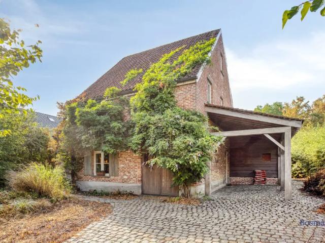 à vendre Maison Tessenderlo Laarbossenstraat