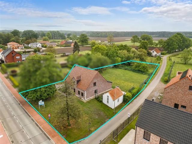 à vendre Maison Tessenderlo Schoterweg