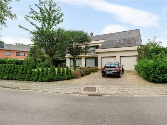 à vendre Maison Turnhout Sinteldreef