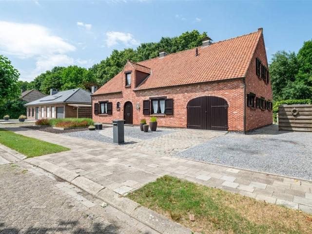 à vendre Maison Turnhout Sperwerstraat