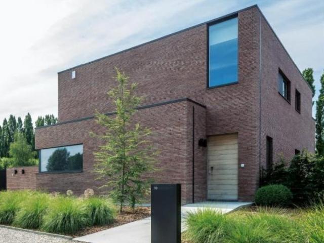 à vendre Maison Zottegem Rodestraat