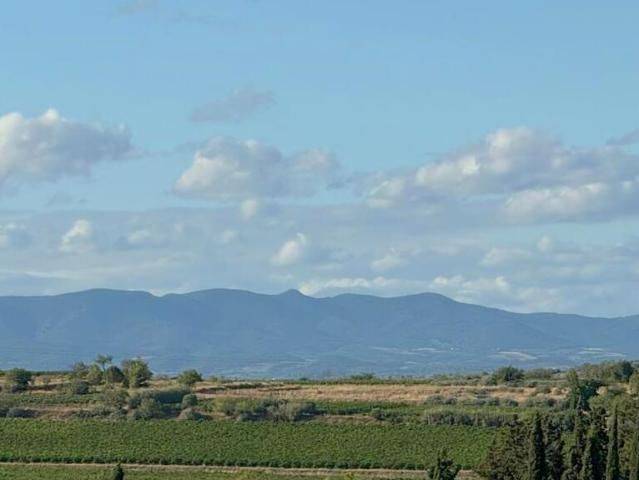 A Vendre Montady 10mn de Beziers et des accès A9 et A75. Exc. 257m² Montady