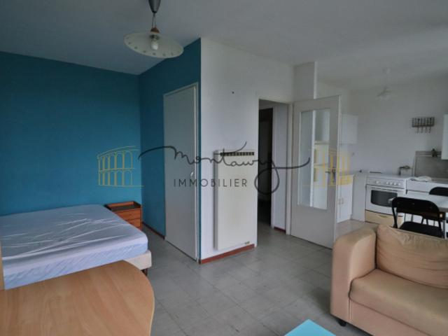 A VENDRE P1 Bis à Saint Césaire Spécial Investisseur !
