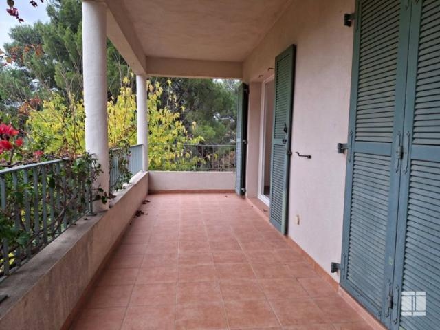 À VENDRE – PATRIMONIO Appartement T2 AVEC TERRASSE