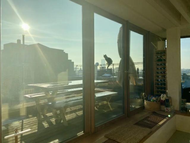 à vendre Penthouse Bruxelles Papenvest