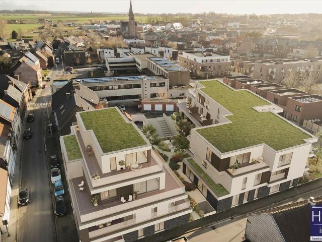 à vendre Penthouse Kruishoutem Hedekensdriesstraat