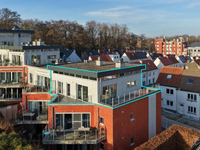 à vendre Penthouse Louvain Kaboutermansstraat