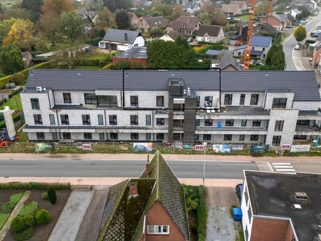 à vendre Penthouse Neerpelt Achelsendijk