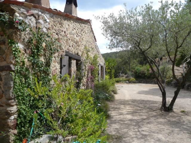 A Vendre Propriete Et Annexes Sur 3 Ha 220m² Le Plan de la Tour