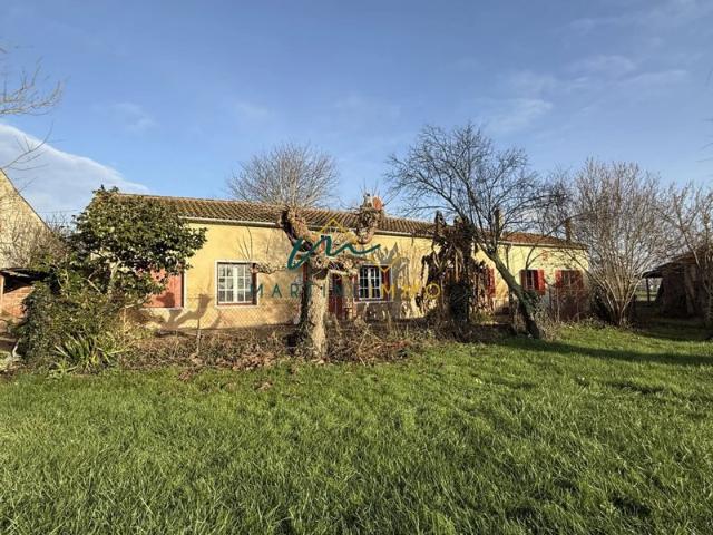 A VENDRE PROPRIETE VITICOLE A 10 MIN DE LA REOLE