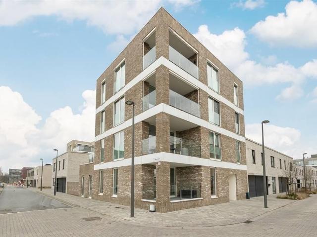 à vendre Rez De Chaussée Anvers Koggelaan
