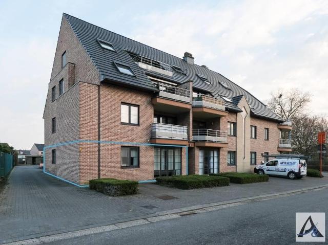 à vendre Rez De Chaussée Bilzen Muggenstraat