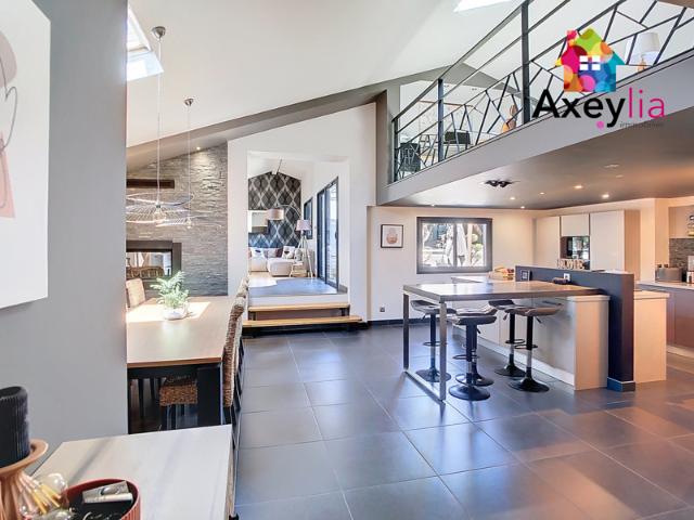 A VENDRE ROANNE LOFT AVEC TERRASSE SANS VIS À VIS ET GAR