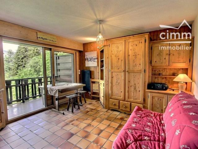 A VENDRE STUDIO + CAVE AUX PIEDS DE LA TELECABINE LES CARROZ D'A