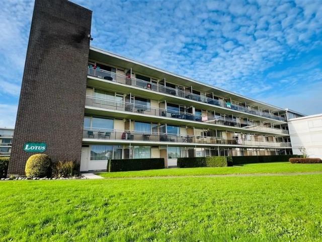 à vendre Studio De Haan