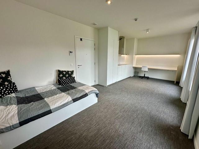 à vendre Studio Louvain Riddersstraat
