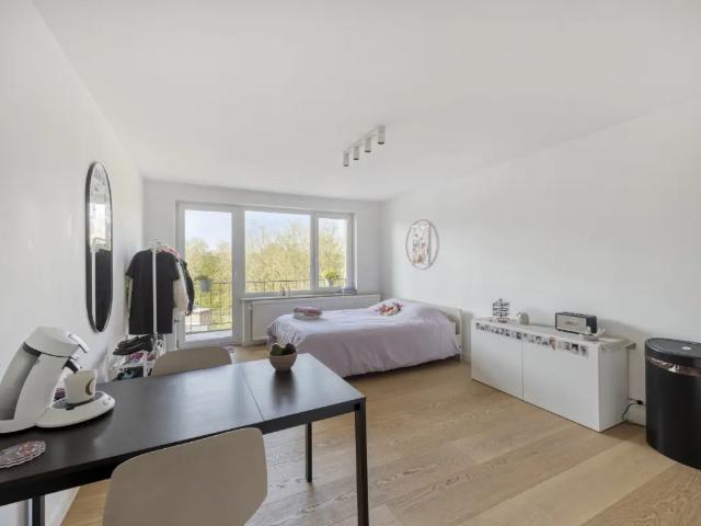 à vendre Studio Louvain Schapenstraat