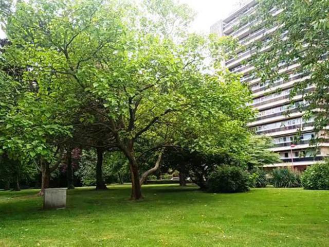 à vendre Studio Liège Rue Saint Gilles 343