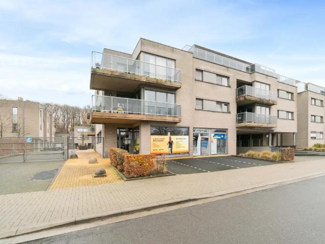 à vendre Surface commerciale Belsele Kleemstraat
