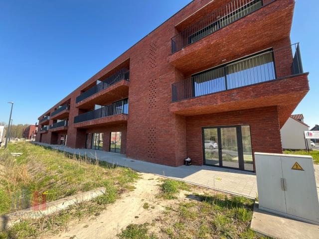 à vendre Surface commerciale Drongen Baarledorpstraat