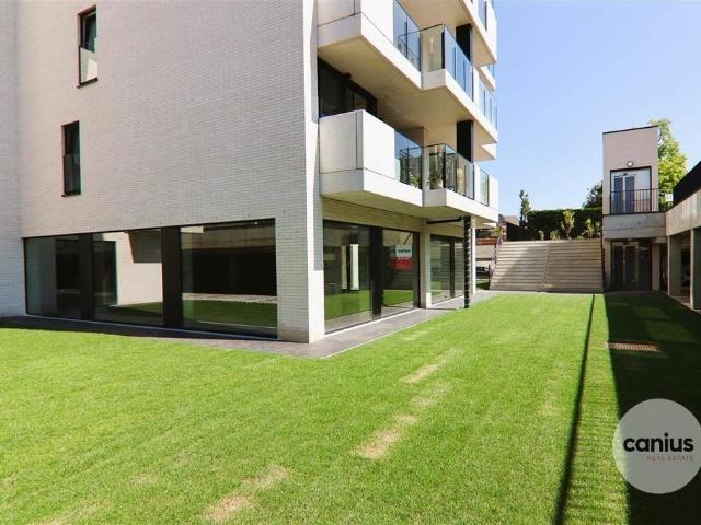 à vendre Surface commerciale Saint Trond Luikersteenweg