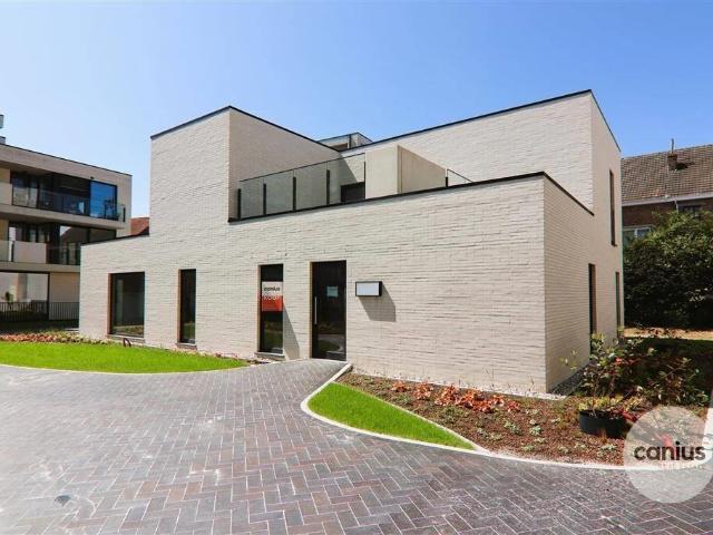 à vendre Surface commerciale Saint Trond Luikersteenweg