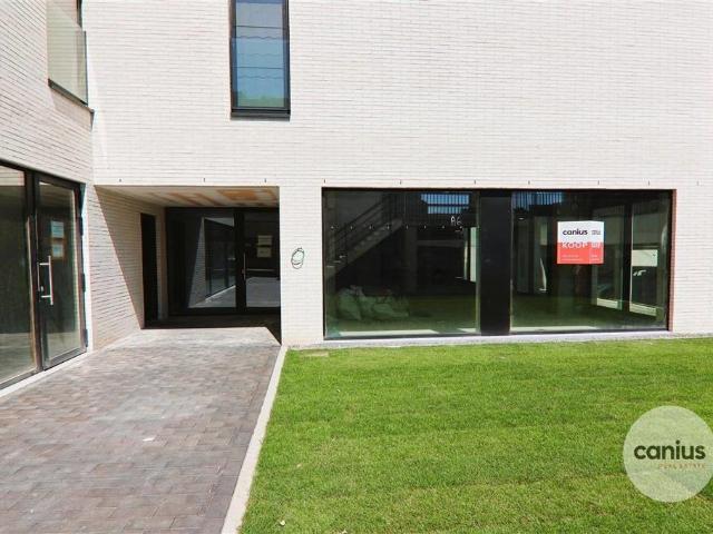 à vendre Surface commerciale Saint Trond Luikersteenweg