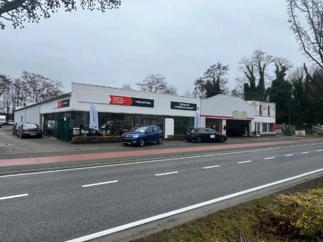 à vendre Surface commerciale Tessenderlo H. Hartlaan