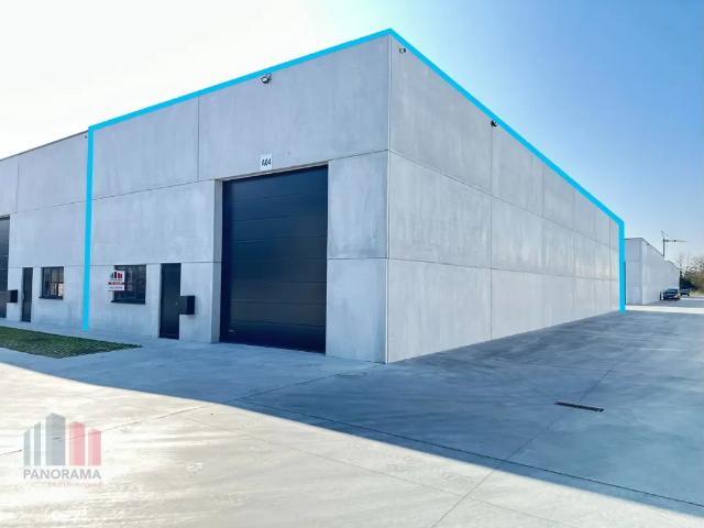 à vendre Surface industrielle Waregem Kortrijkseweg