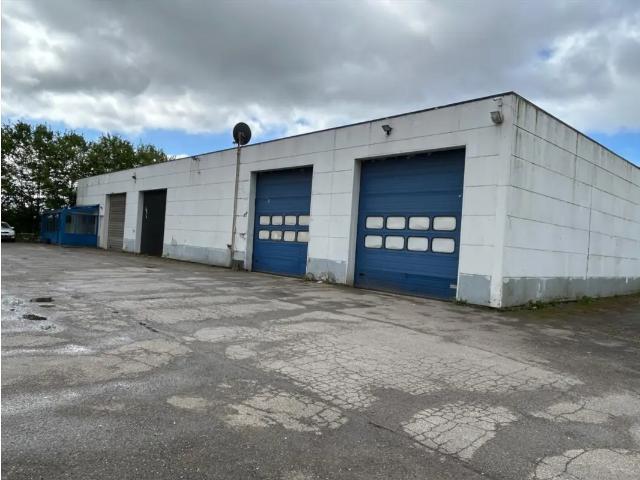 à vendre Surface industrielle Hamont Lozenweg